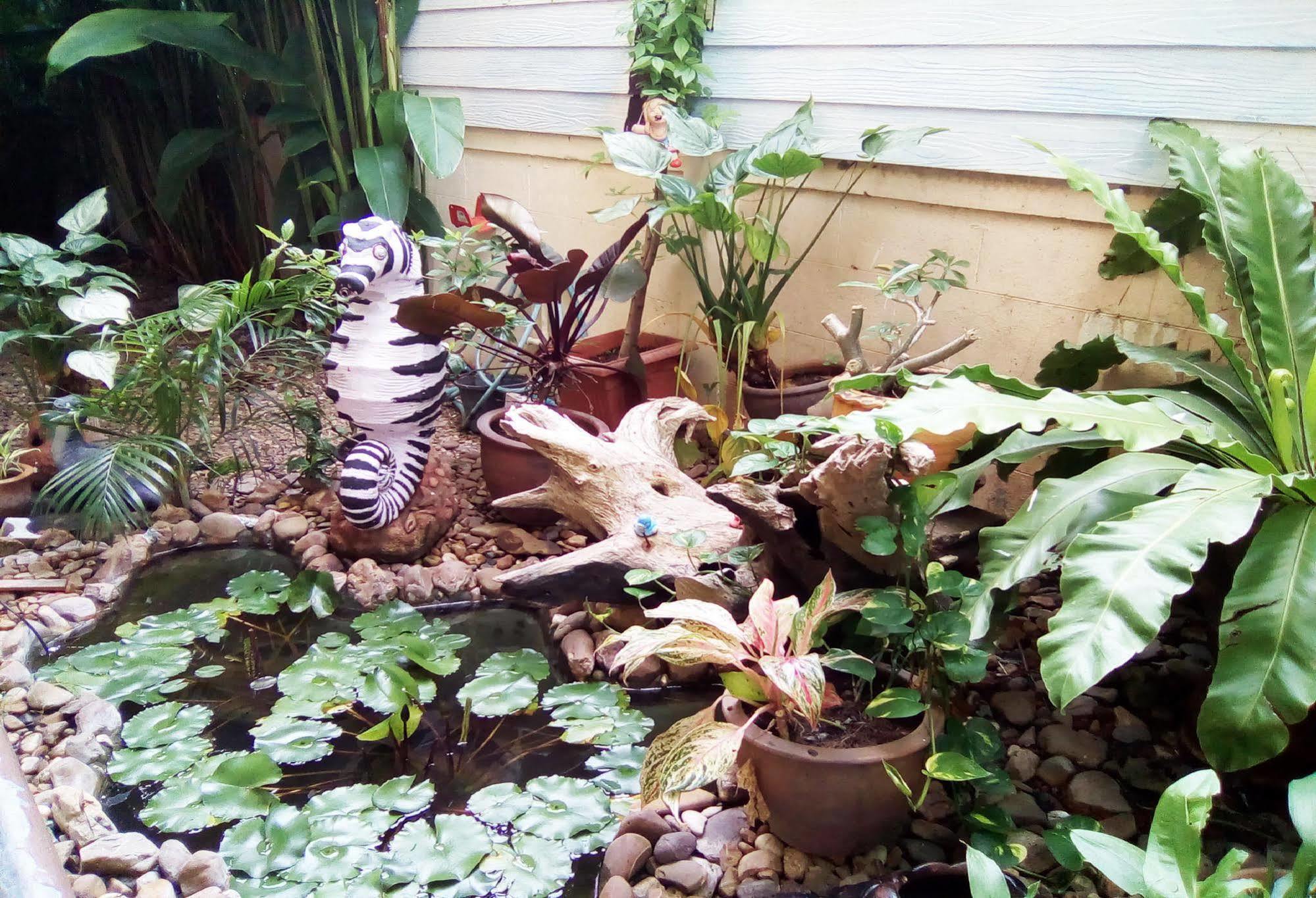 Ban Chanchay Hua Hin Luaran gambar